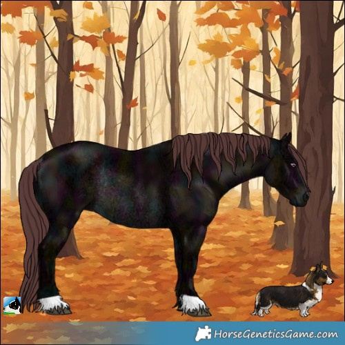 Horse Color:Midnight Chocolate Brown Chinchilla Ice Rabicano 