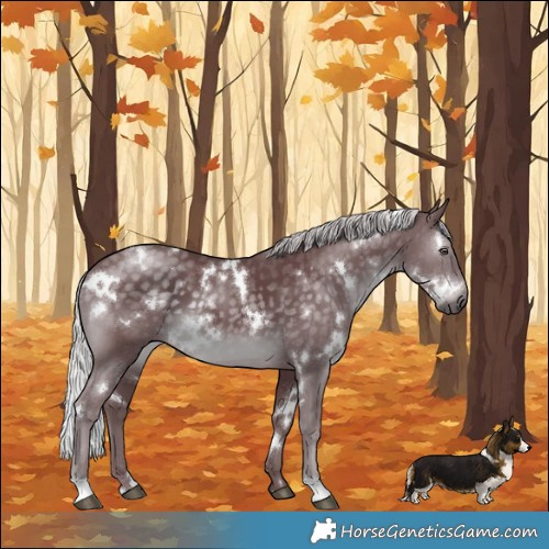 Horse Color:White Spotted Chocolate Silver Black Chinchilla 