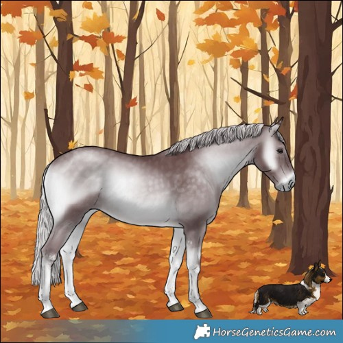 Horse Color:Chocolate Silver Blue Onyx Chinchilla Sabino