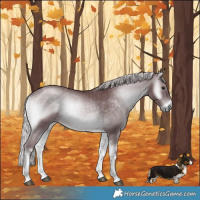Horse Color:Chocolate Silver Blue Onyx Chinchilla Sabino 