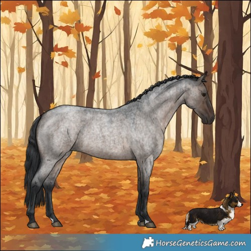 Horse Color:Brown Roan Dun