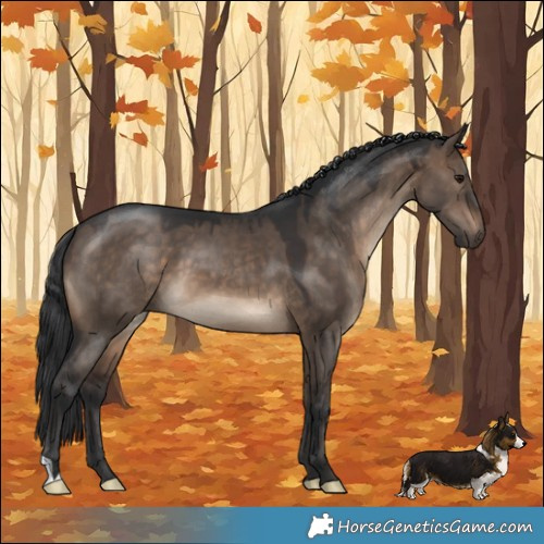 Horse Color:Brown Dun 