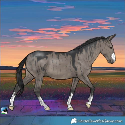Horse Color:Grullo Brindle 