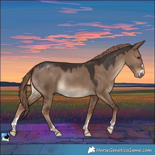 Horse Color:Liver Red Dun Rabicano 