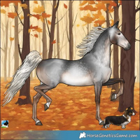 Horse Color:Gray Liver Chestnut Mushroom Rabicano