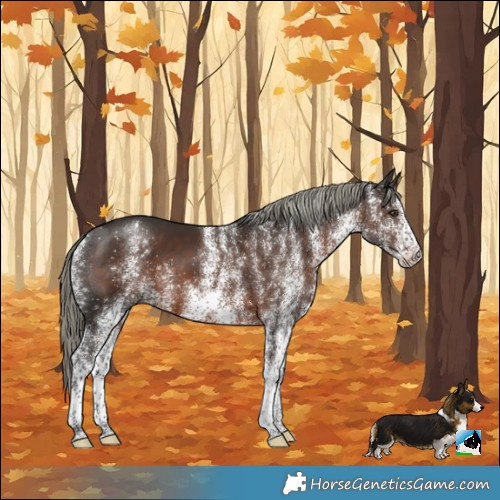 Horse Color:White Spotted Liver Chestnut Mushroom 