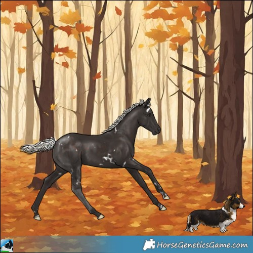 Horse Color:White Spotted Liver Chestnut Mushroom 