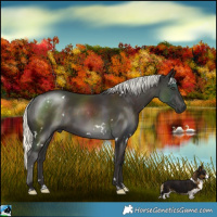 Horse Color:White Spotted Liver Chestnut Mushroom