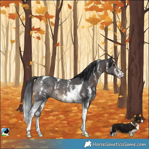Horse Color:Brown Sabino Tobiano Rabicano
