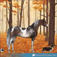 Horse Color:White Spotted Brown Tobiano Rabicano