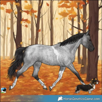 Horse Color:Platinum Smoky Blue Roan Tobiano Rabicano