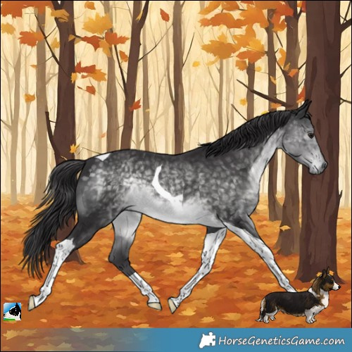 Horse Color:Platinum Buckskin Tobiano
