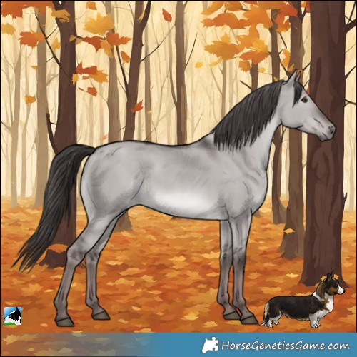 Horse Color:Platinum Liver Red Dun Rabicano