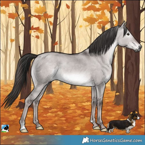 Horse Color:Gray Platinum Liver Red Dun Rabicano 