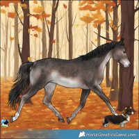 Horse Color:Platinum Liver Chestnut Rabicano