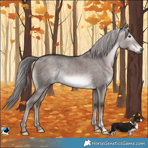 Horse Color:Gray Platinum Liver Red Dun Rabicano 