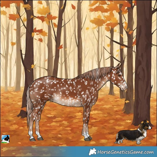 Horse Color:Chestnut Snowflake Varnish