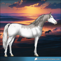 Horse Color:Silver Blue Roan Splash Blanket Rabicano 