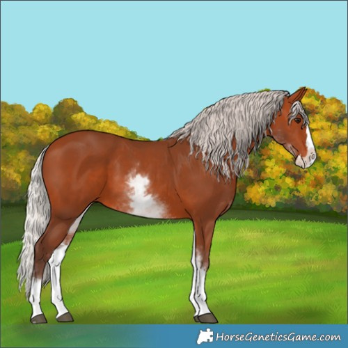 Horse Color:White Spotted Silver Bay Splash