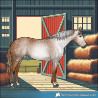 Horse Color:Gray Chestnut 