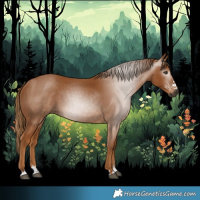 Horse Color:Gray Chestnut