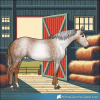 Horse Color:Gray Chestnut 