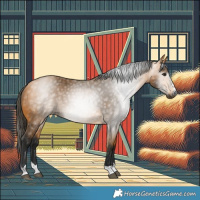 Horse Color:Gray Buckskin