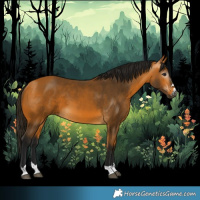 Horse Color:Gray Buckskin 