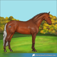 Horse Color:Silver Bay 