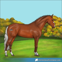 Horse Color:Silver Bay 