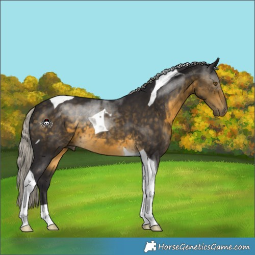 Horse Color:Silver Buckskin Tobiano