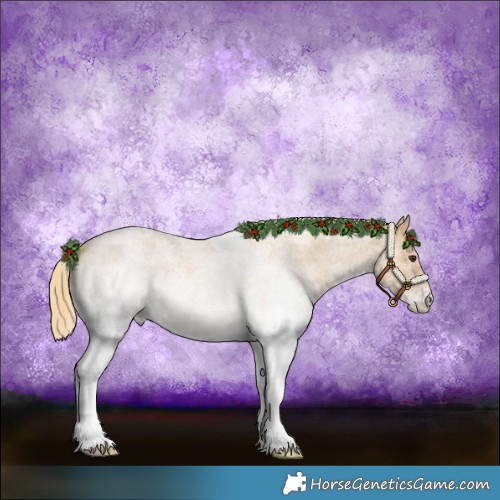 Horse Color:White Spotted Red Roan 