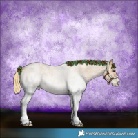 Horse Color:White Spotted Red Roan 