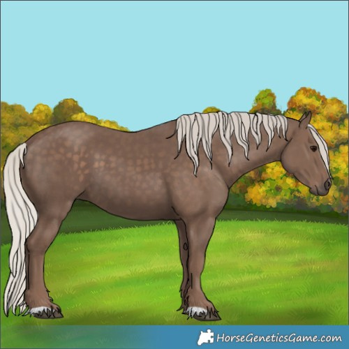 Horse Color:Silver Black 