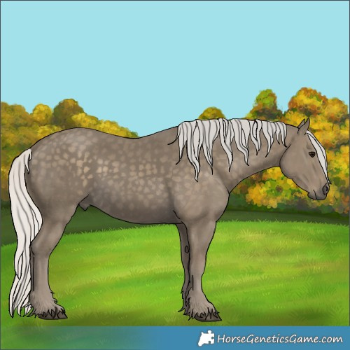 Horse Color:Silver Smoky Black 