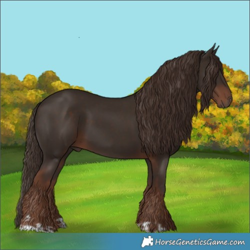 Horse Color:Liver Chestnut  and Liver Chestnut 