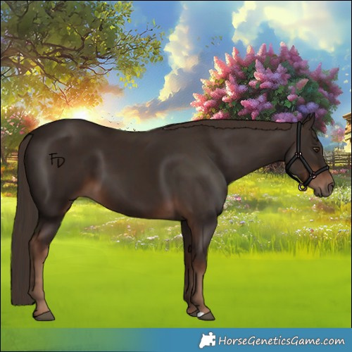 Horse Color:Liver Chestnut  and Liver Chestnut 