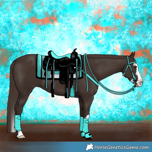 Horse Color:Liver Chestnut  and Liver Chestnut Splash 