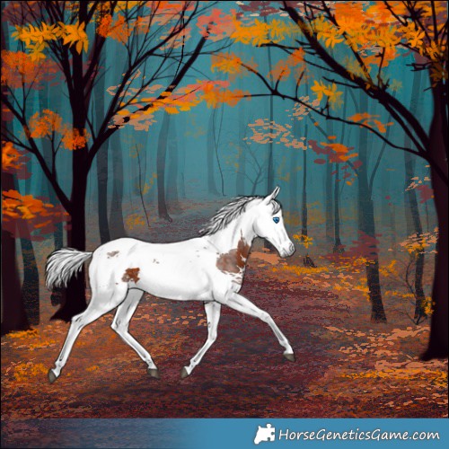 Horse Color:Silver Brown Harlequin Merle 