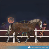 Horse Color:Liver Chestnut  and Chocolate Palomino 