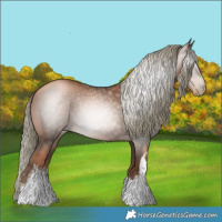 Horse Color:Gray White Spotted Liver Chestnut Pearl Mushroom 