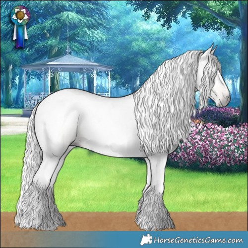 Horse Color:Gray Red Dun 