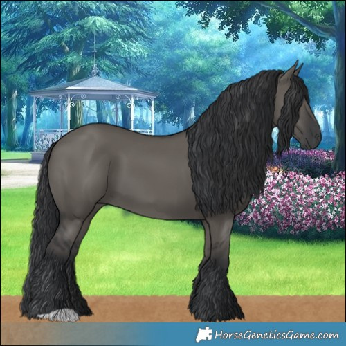 Horse Color:Grullo 