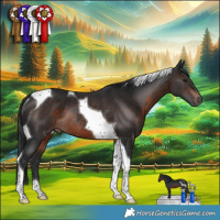 Horse Color:Brown Tobiano Rabicano