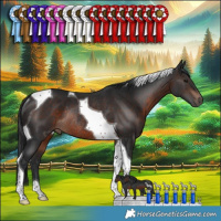 Horse Color:Brown Tobiano Rabicano