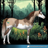 Horse Color:Liver Red Dun Splash  and Red Dun Splash 