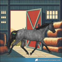 Horse Color:Blue Roan 