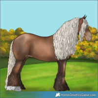 Horse Color:Gray Liver Chestnut Pearl Mushroom