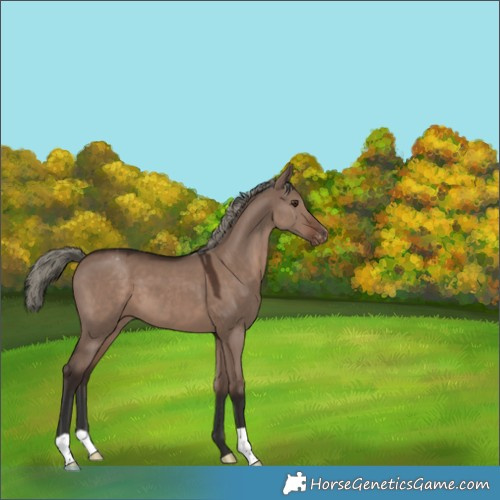 Horse Color:Liver Red Dun Mushroom Varnish 
