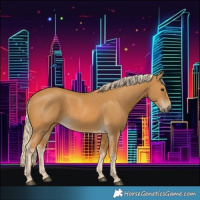 Horse Color:Palomino 